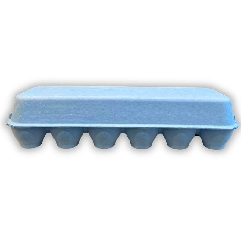 Back view of a baby blue unprinted egg carton with 12 cells