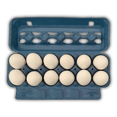 Blue unprinted pulp egg carton open stock with eggs