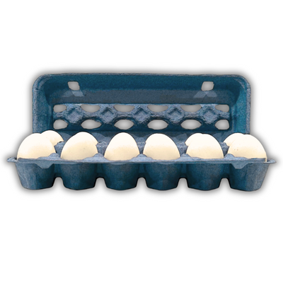 Blue unprinted pulp egg carton open 12-cell front