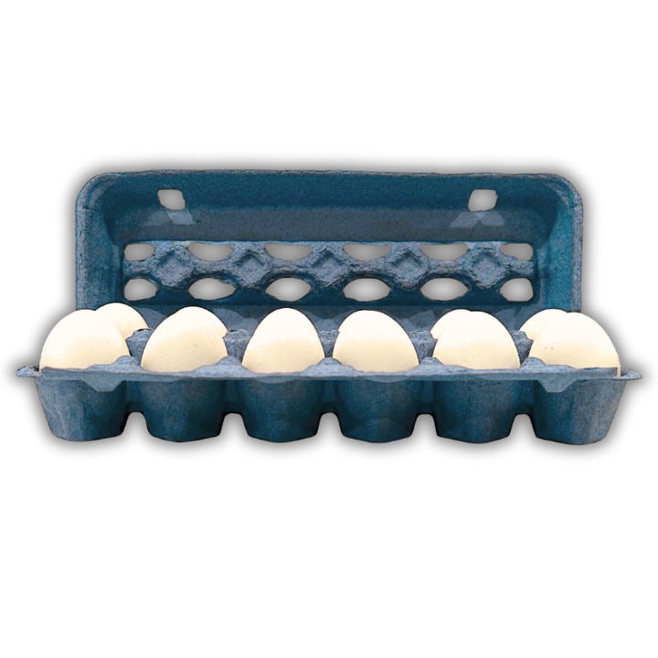 Blue unprinted pulp egg carton open 12-cell front