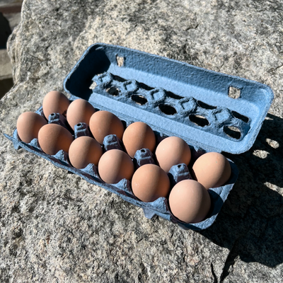 A blue open stock pulp 12-egg carton filled with brown eggs sitting on a rock