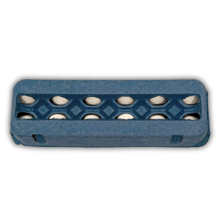 Blue unprinted pulp egg carton MAIN