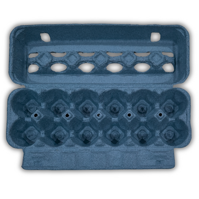 Blue unprinted pulp egg carton open 12-cell