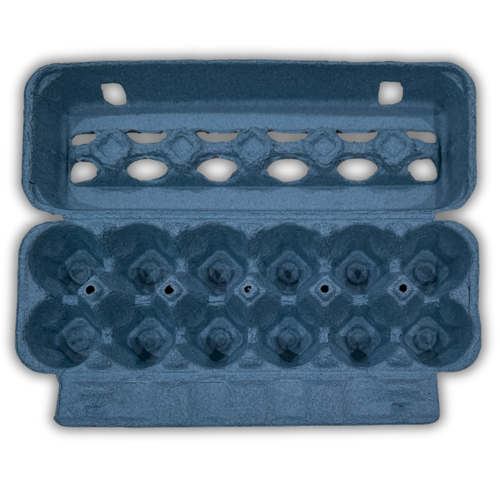 Blue unprinted pulp egg carton open 12-cell