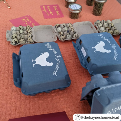 Blue vintage 3x4 pulp egg carton with custom printing