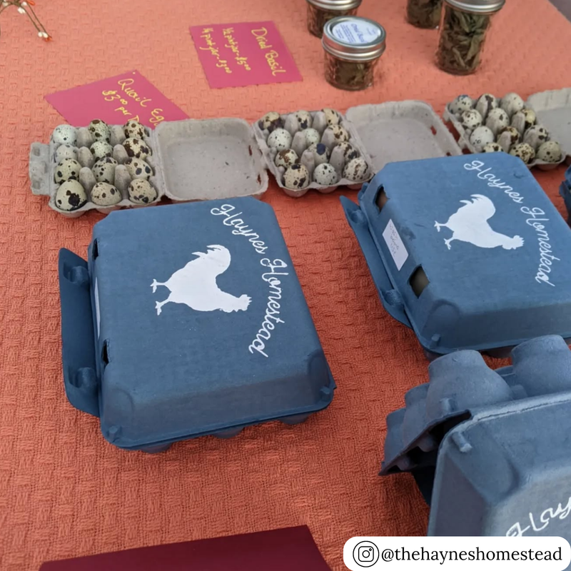 Blue vintage 3x4 pulp egg carton with custom printing