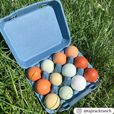 Blue vintage 12-egg carton, recycled paper pulp wholesale food packaging