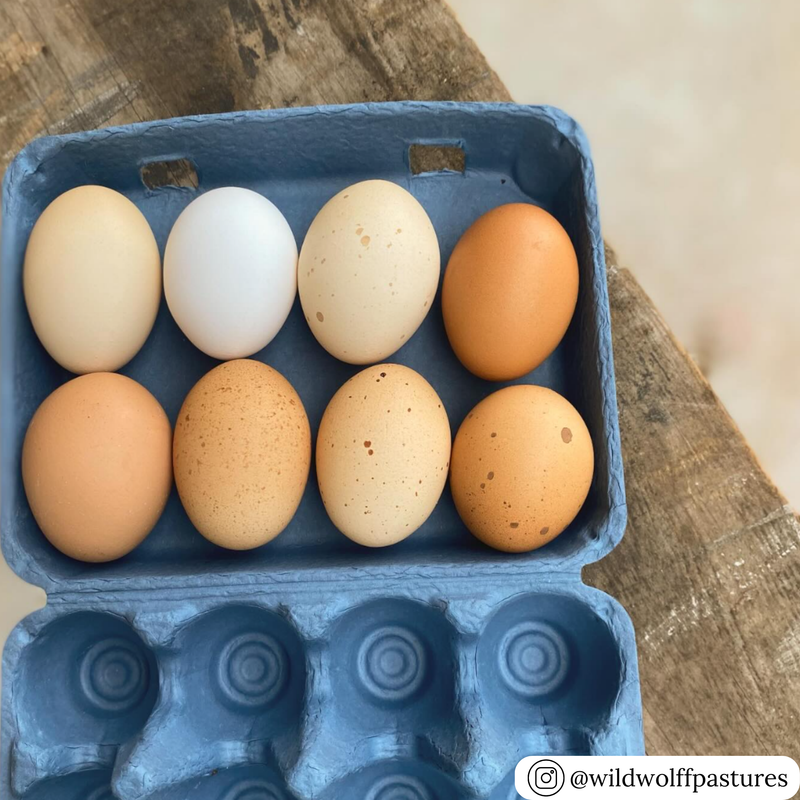 12-egg vintage style 3x4 blue carton, unprinted customizable with custom printing