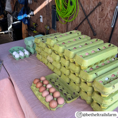 Lime green unprinted 12-egg open stock pulp egg cartons in bulk 