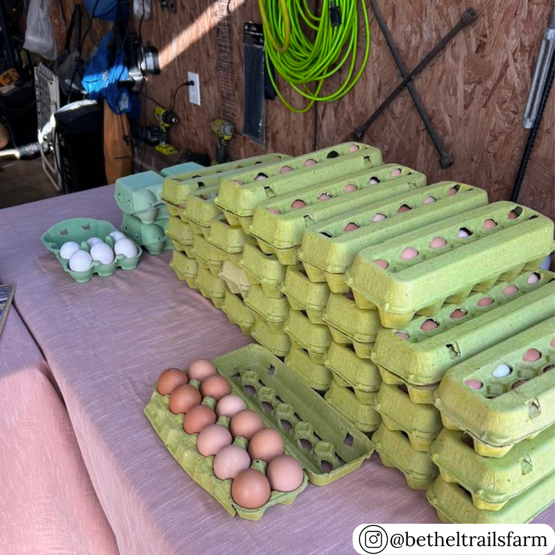 Lime green unprinted 12-egg open stock pulp egg cartons in bulk 