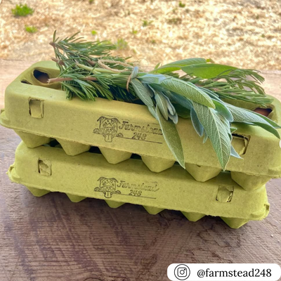 Stacked green pulp cartons with branded stamp, topped with a fresh bundle of sage and rosemary. Compostable cartons sold in bulk.
