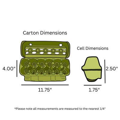 12-Egg Lime Printed Cartons Dimensions