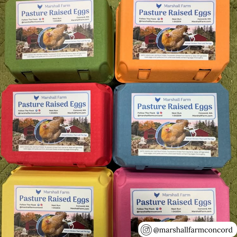 Mixed color vintage 12-egg cartons, pulp recyclable wholesale