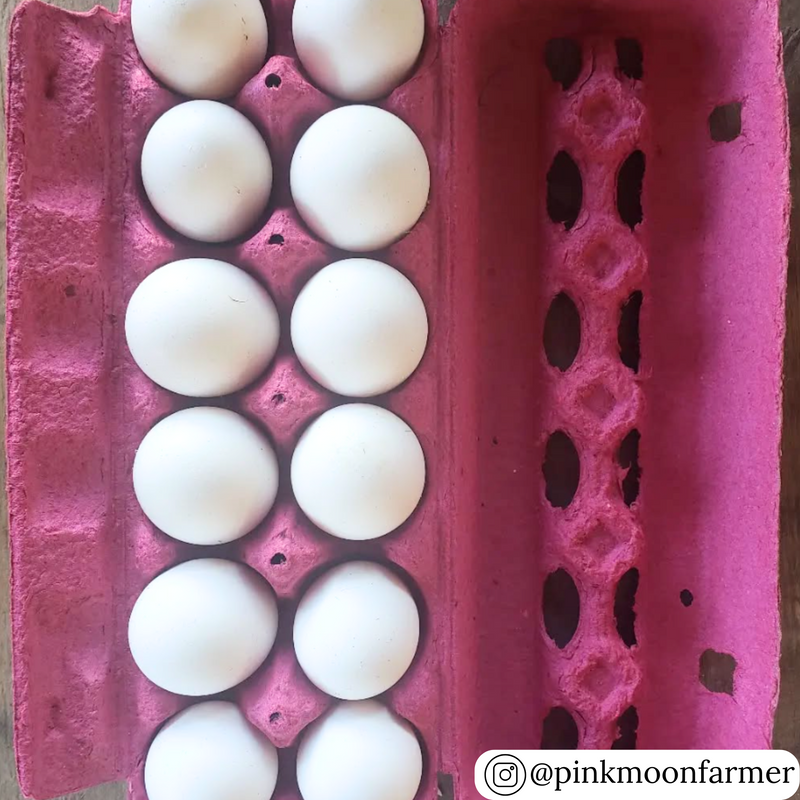 Open pink egg carton holding a dozen white eggs