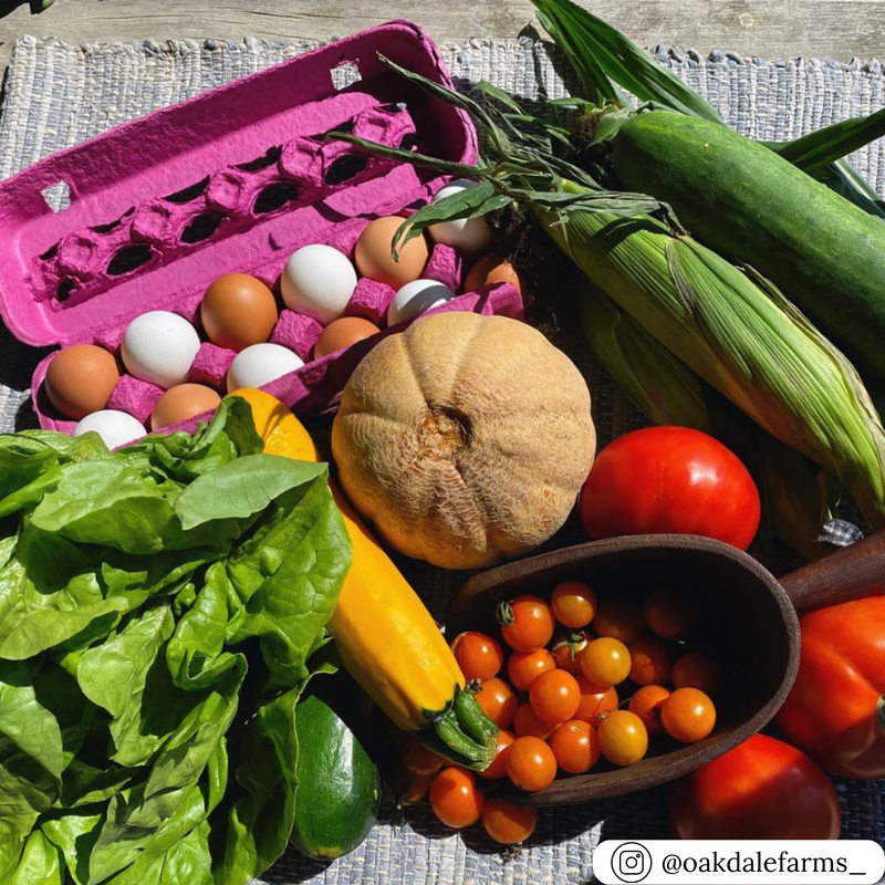 Pink pulp unprinted 12-egg cartons, bulk wholesale for farmers markets