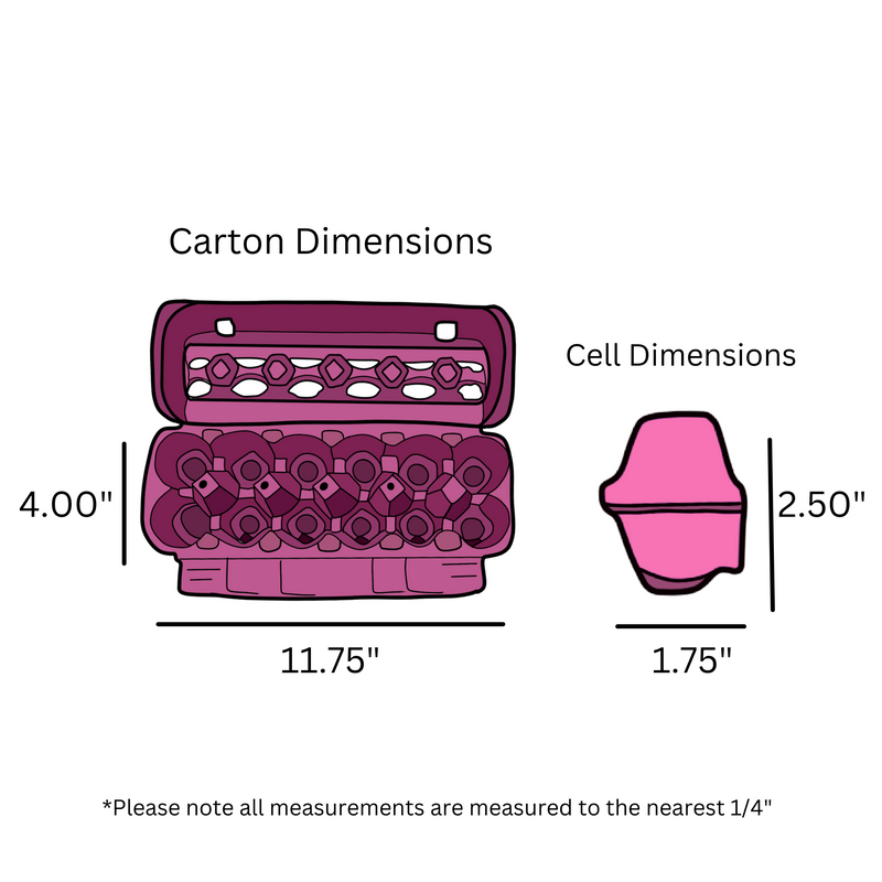 12- Egg Printed Carton Dimensions