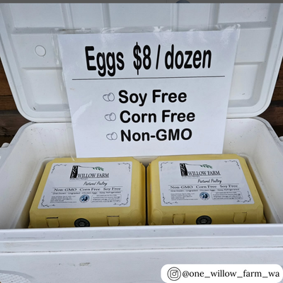 Yellow pulp vintage 3x4 egg carton, bulk wholesale pricing 