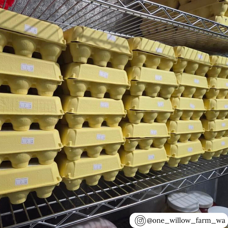 Bulk wholsale quantities and pricing 12-egg vintage yellow pulp unique egg cartons