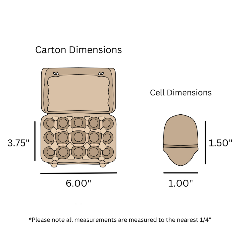 Digital rendering, dimensions, egg carton, pulp, quail