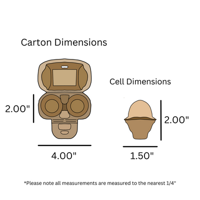 digital rendering, egg carton dimensions, natural pulp