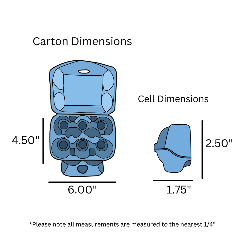 digital rendering if 6-egg baby blue carton demensions