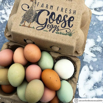 A stamped natural paper pulp goose egg carton filled with rainbow eggs.