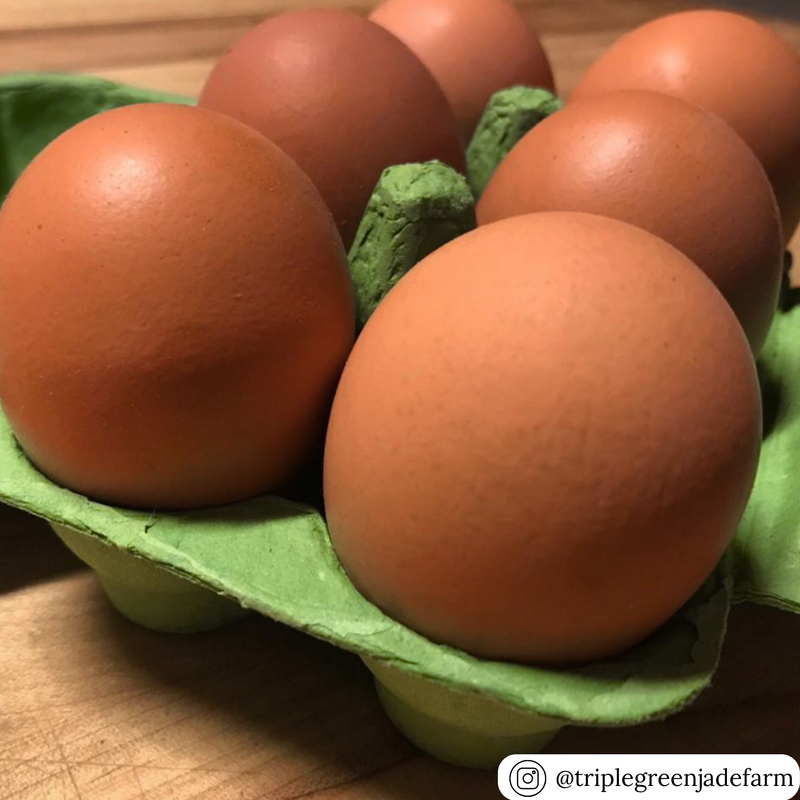 Lime green pulp egg carton with six cells