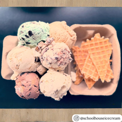 6-Egg blank pulp egg carton for ice cream flights and dessert packaging