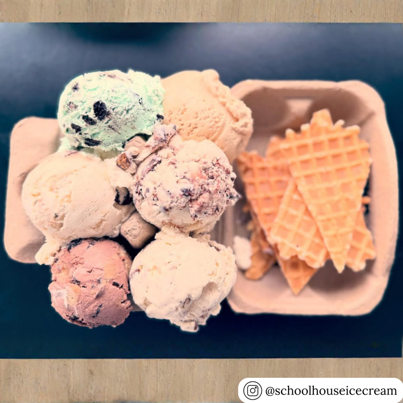 6-Egg blank pulp egg carton for ice cream flights and dessert packaging