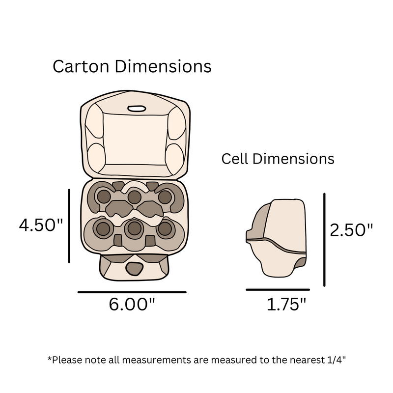 6-Egg Off-White carton dimensions