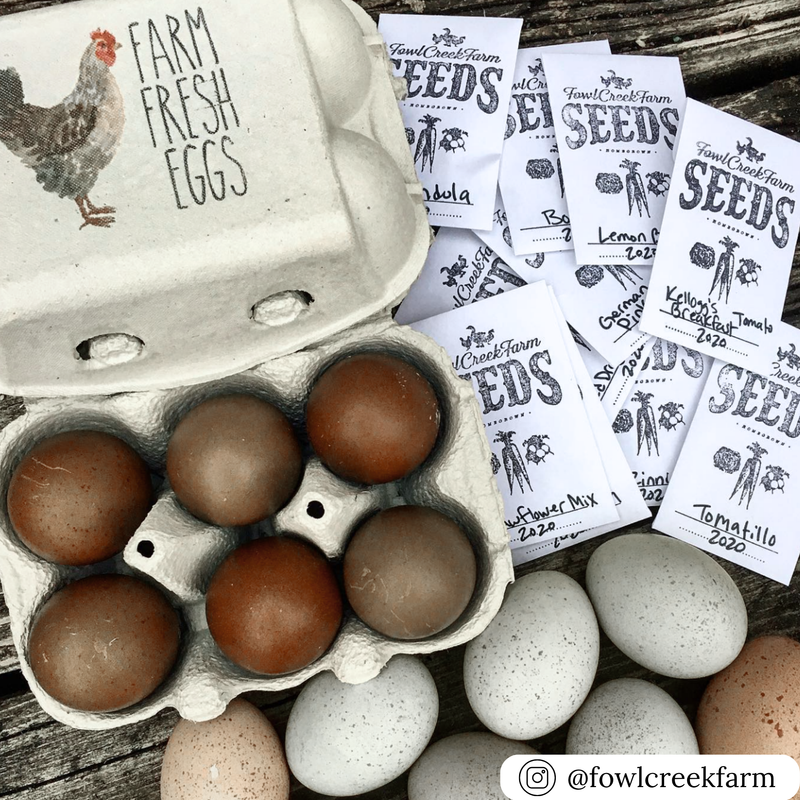 6-Egg off white paper pulp carton with a custom stamp