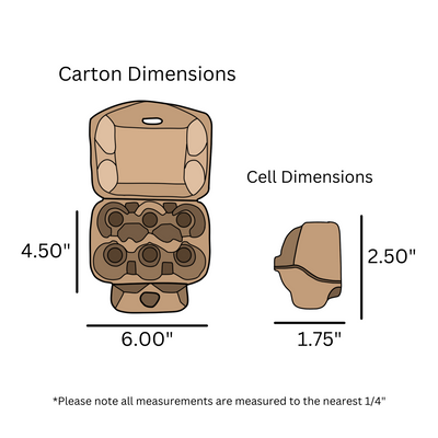 digital rendering, 6-Egg Natural Carton dimensions