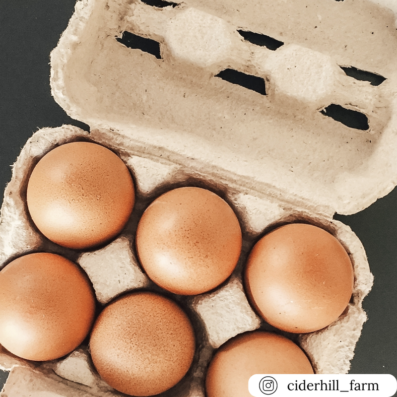Natural unprinted pulp split 6 egg carton, bulk pricing and wholesale quantities for egg packaging