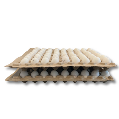 81-Egg Quail filled with eggs stacked