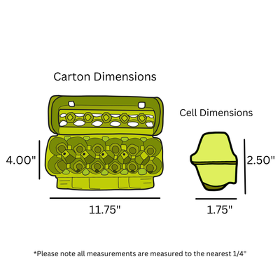 Diagram showing dimensions of a lime green egg carton and cell, with measurements in inches.