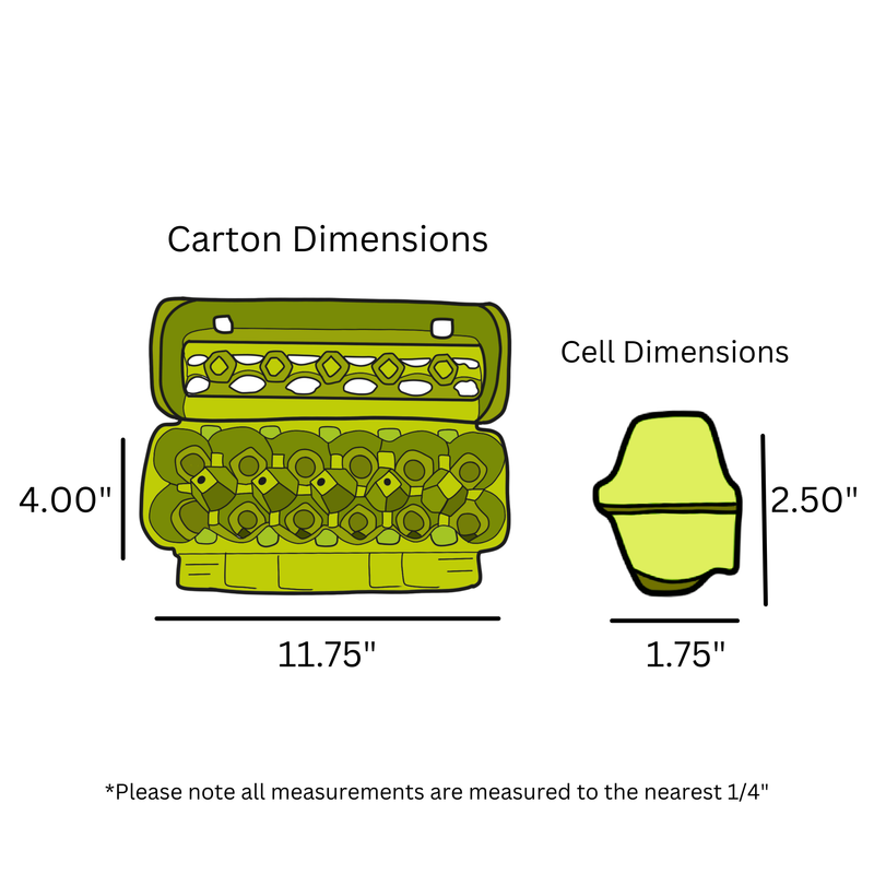 Diagram showing dimensions of a lime green egg carton and cell, with measurements in inches.