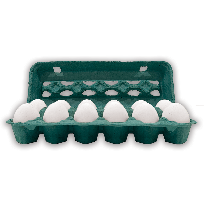 open view of a teal egg carton made of pulp, 12 eggs inside, 2x6 cells