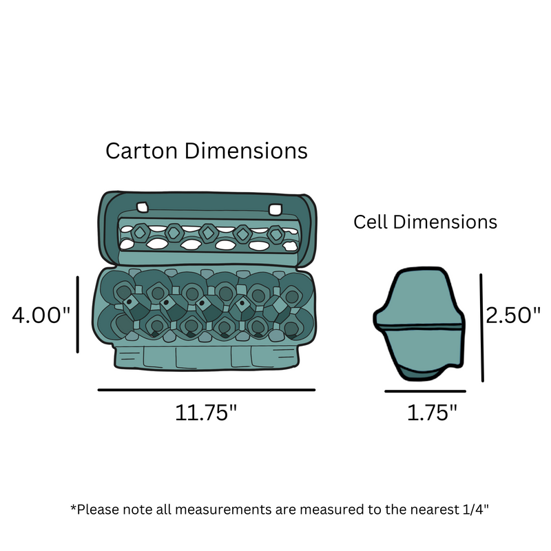 12-Egg Teal Carton Dimensions