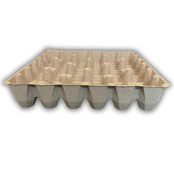 Egg Tray Filler Flat Natural paper pulp tray with 36 cells bottom, bulk wholesale, side view