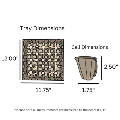 digital rendering, 36 cell pulp egg tray 36 cell egg tray, 11.75" x 12.00"