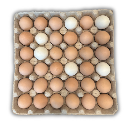 36-Egg - Walled filled with eggs