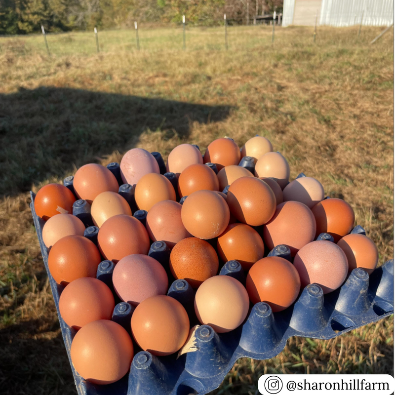 Blue stackable plastic filler flat tray filled with eggs with a farm setting in the background