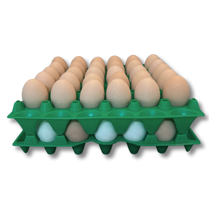 30-Cell Stackable Green filled with eggs stacked