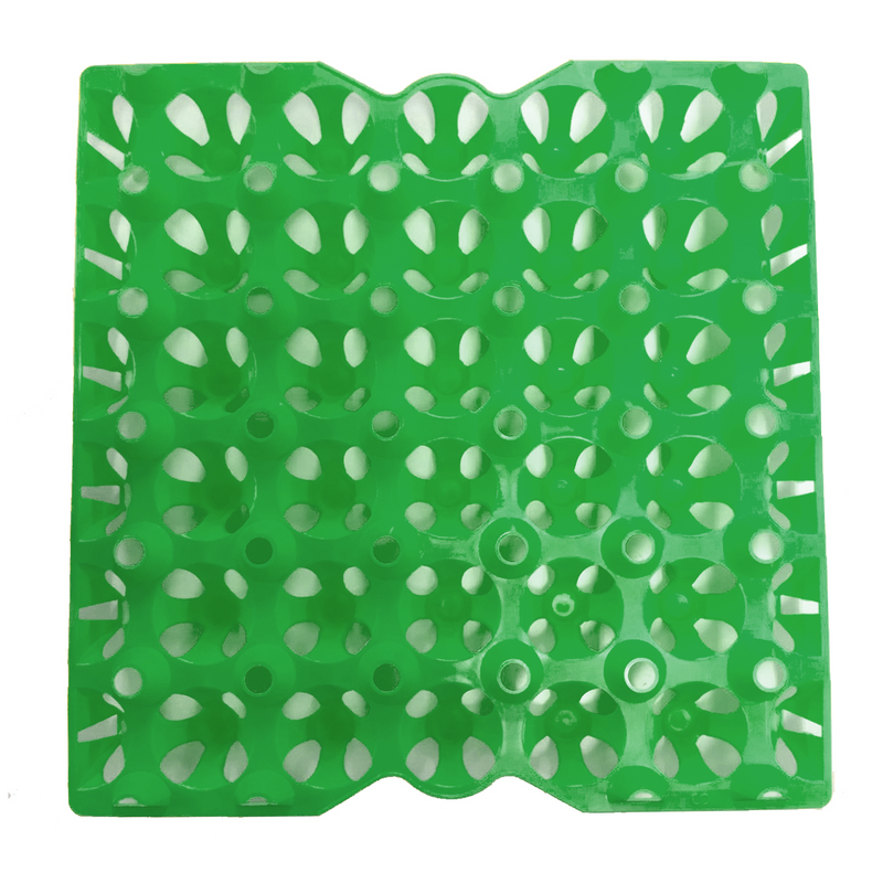 Green washable egg tray flat, Kuhl