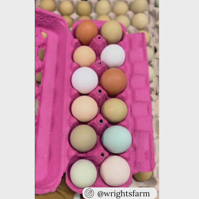 Pink pulp 2x6 egg carton video