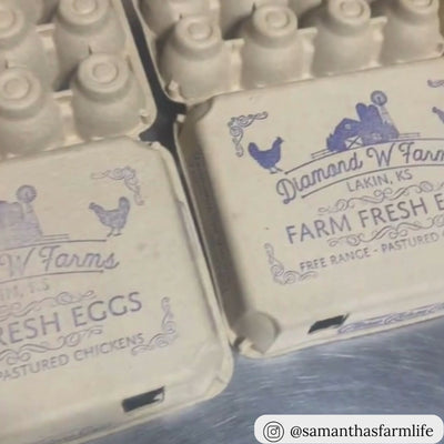 Custom printed egg cartons, unique egg packaging solutions, 12-egg vintage egg holders