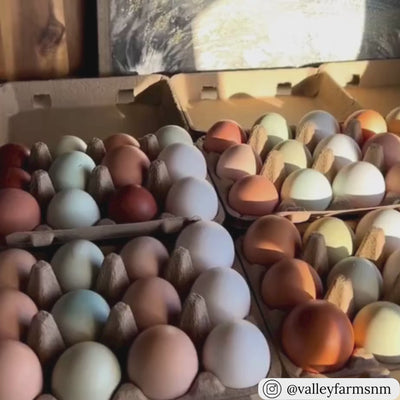 Egg carton packaging video showing 12-egg natural brown pulp cartons in wholesale quantities