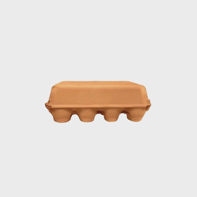 12-Egg vintage orange carton 360 degree video