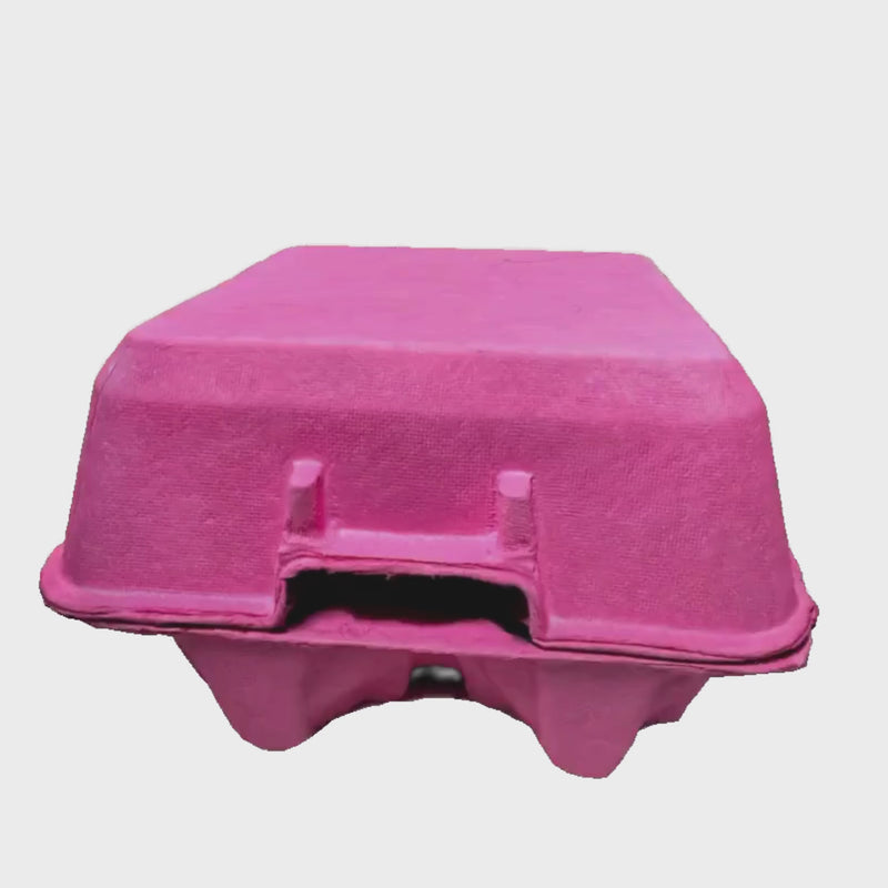 4 cell egg carton, hot pink pulp, 360 spin video