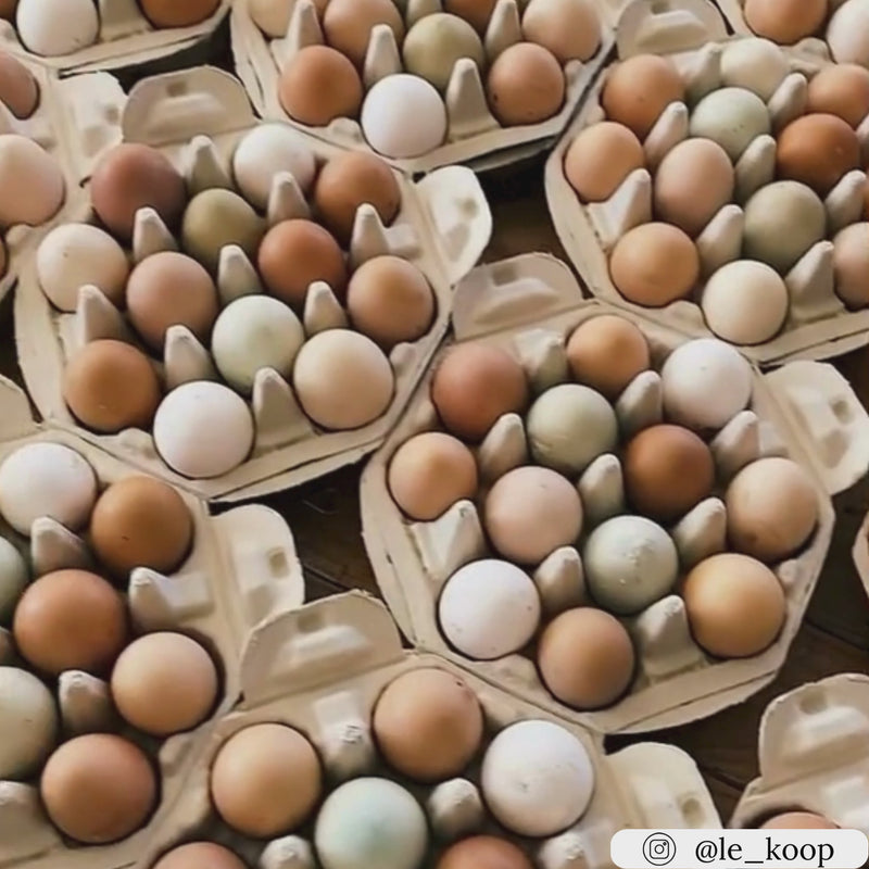 12-egg octogon carton, blank paper pulp wholesale pricing available